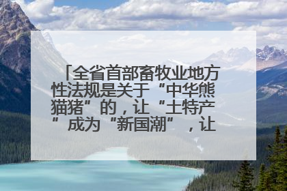 全省首部畜牧业地方性法规是关于“中华熊猫猪”的，让“土特产”成为“新国潮”，让“农产品”升格为“城市IP”