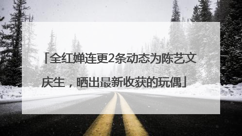 全红婵连更2条动态为陈艺文庆生，晒出最新收获的玩偶