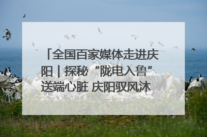 全国百家媒体走进庆阳｜探秘“陇电入鲁”送端心脏 庆阳驭风沐光点亮齐鲁万家