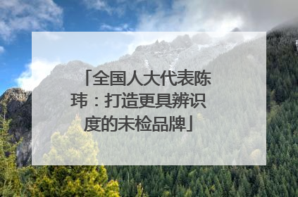 全国人大代表陈玮：打造更具辨识度的未检品牌