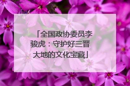 全国政协委员李骏虎：守护好三晋大地的文化宝藏