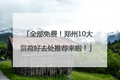 全部免费！郑州10大赏荷好去处推荐来啦！