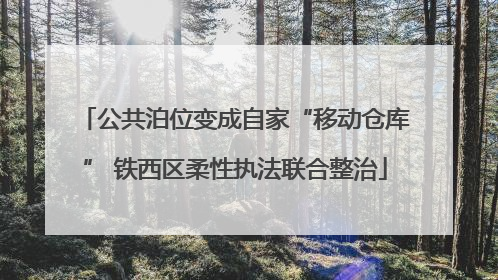 公共泊位变成自家“移动仓库” 铁西区柔性执法联合整治