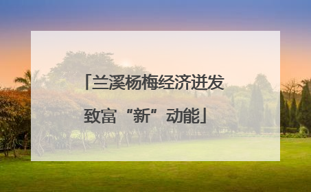 兰溪杨梅经济迸发致富“新”动能