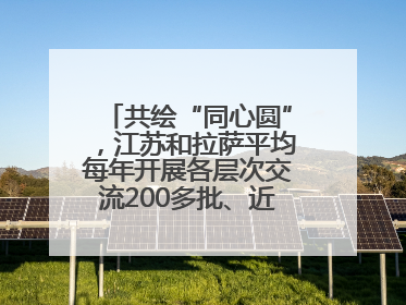 共绘“同心圆”，江苏和拉萨平均每年开展各层次交流200多批、近2000人次