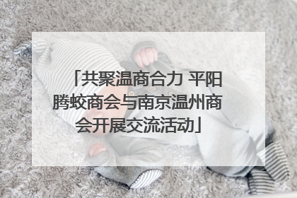 共聚温商合力 平阳腾蛟商会与南京温州商会开展交流活动
