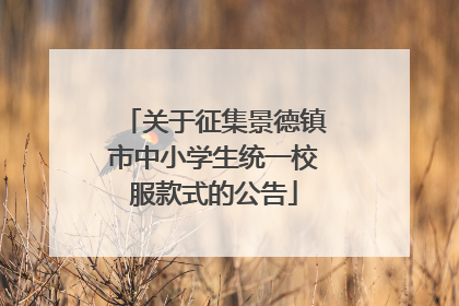 关于征集景德镇市中小学生统一校服款式的公告