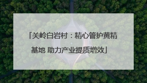 关岭白岩村：精心管护黄精基地 助力产业提质增效