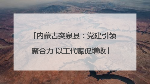 内蒙古突泉县：党建引领聚合力 以工代赈促增收