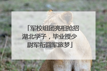 军校组团亮相抢招湖北学子，毕业授少尉军衔圆军旅梦