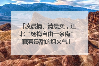 凌晨摘、清晨卖，江北“杨梅自由一条街”藏着最甜的烟火气