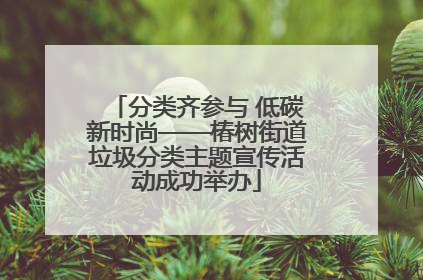 分类齐参与 低碳新时尚——椿树街道垃圾分类主题宣传活动成功举办
