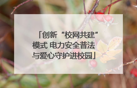创新“校网共建”模式 电力安全普法与爱心守护进校园