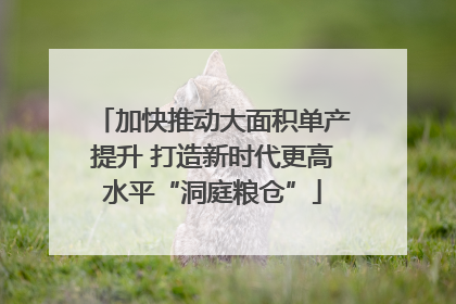 加快推动大面积单产提升 打造新时代更高水平“洞庭粮仓”