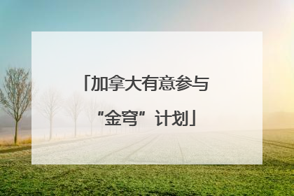 加拿大有意参与“金穹”计划