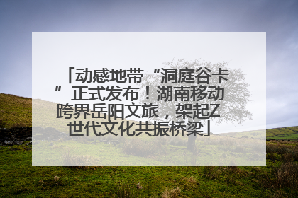 动感地带“洞庭谷卡”正式发布！湖南移动跨界岳阳文旅，架起Z世代文化共振桥梁
