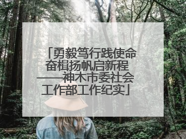 勇毅笃行践使命 奋楫扬帆启新程——神木市委社会工作部工作纪实