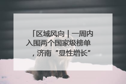 区域风向｜一周内入围两个国家级榜单，济南“显性增长”刷新城市影响力