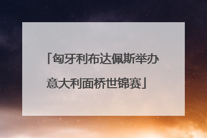 匈牙利布达佩斯举办意大利面桥世锦赛