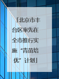 北京市丰台区率先在全市推行实施“青苗培优”计划