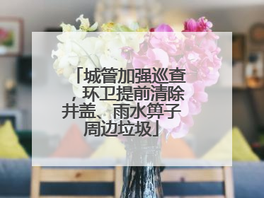 城管加强巡查，环卫提前清除井盖、雨水箅子周边垃圾