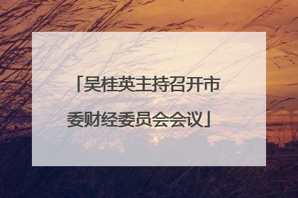 吴桂英主持召开市委财经委员会会议