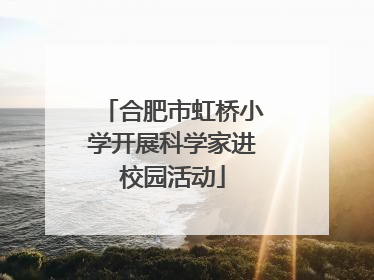 合肥市虹桥小学开展科学家进校园活动