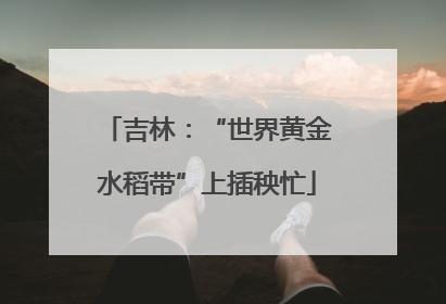 吉林：“世界黄金水稻带”上插秧忙