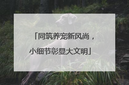 同筑养宠新风尚，小细节彰显大文明