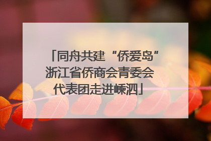 同舟共建“侨爱岛” 浙江省侨商会青委会代表团走进嵊泗