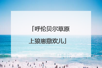 呼伦贝尔草原上狼崽撒欢儿