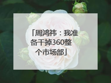 周鸿祎:我准备干掉360整个市场部
