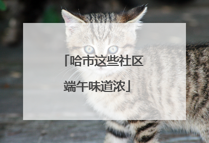 哈市这些社区端午味道浓