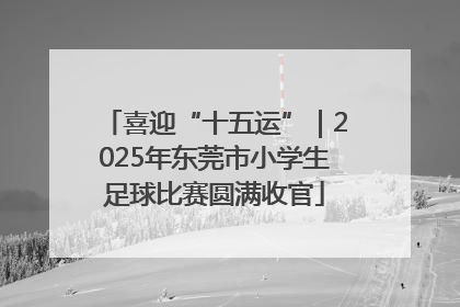 喜迎“十五运”｜2025年东莞市小学生足球比赛圆满收官