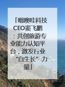 嗯噢哇科技CEO窦飞鹏：共创旅游专业能力认知平台，激发行业“自生长”力量