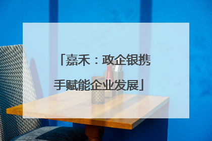 嘉禾：政企银携手赋能企业发展