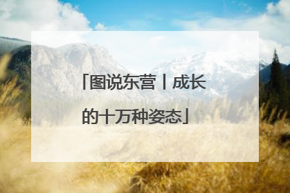 图说东营丨成长的十万种姿态