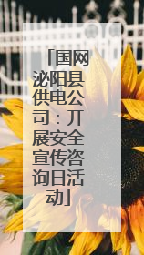 国网泌阳县供电公司：开展安全宣传咨询日活动