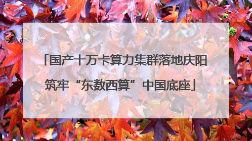 国产十万卡算力集群落地庆阳 筑牢“东数西算”中国底座