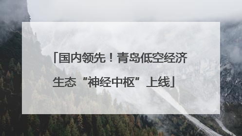 国内领先！青岛低空经济生态“神经中枢”上线