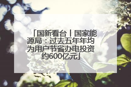 国新看台丨国家能源局：过去五年年均为用户节省办电投资约600亿元