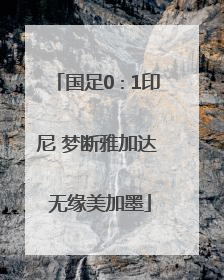 国足0∶1印尼 梦断雅加达 无缘美加墨