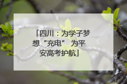 四川：为学子梦想“充电” 为平安高考护航
