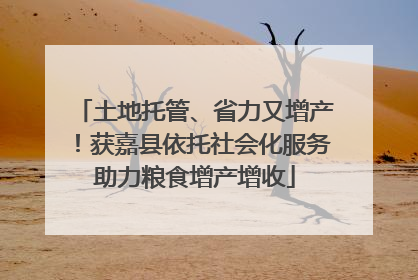 土地托管、省力又增产！获嘉县依托社会化服务助力粮食增产增收