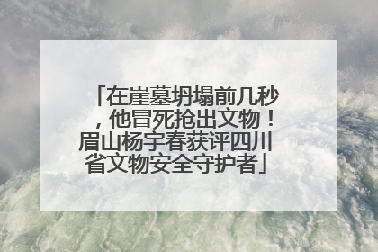 在崖墓坍塌前几秒，他冒死抢出文物！眉山杨宇春获评四川省文物安全守护者