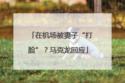 在机场被妻子“打脸”？马克龙回应