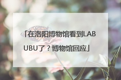 在洛阳博物馆看到LABUBU了？博物馆回应