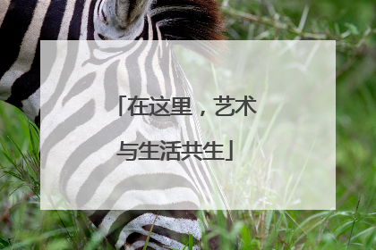 在这里，艺术与生活共生