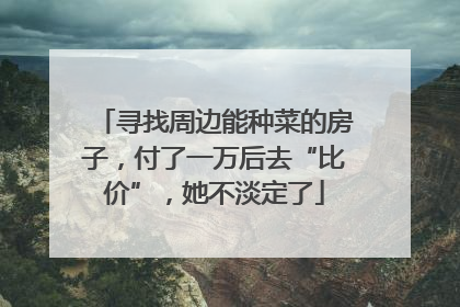 寻找周边能种菜的房子，付了一万后去“比价”，她不淡定了