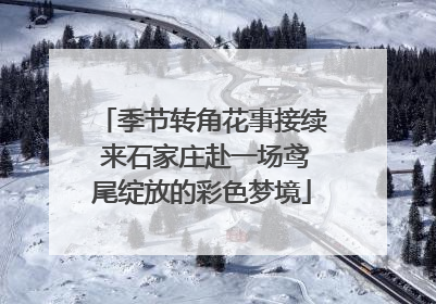 季节转角花事接续 来石家庄赴一场鸢尾绽放的彩色梦境
